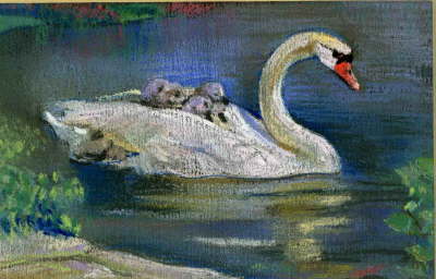 Schwanenfamilie in Pastell